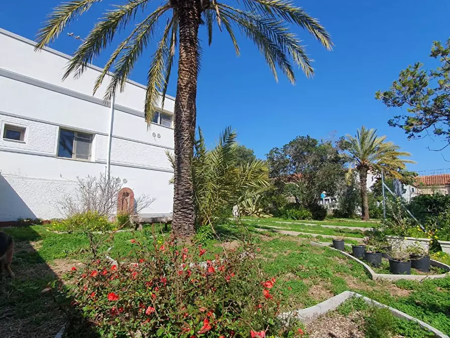 Immagine 7 di Villa in vendita  in Centrale 20 a Olbia