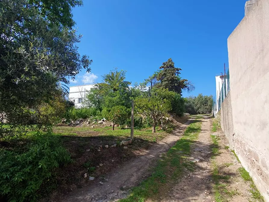 Immagine 11 di Terreno residenziale in vendita  in Centrale a Olbia