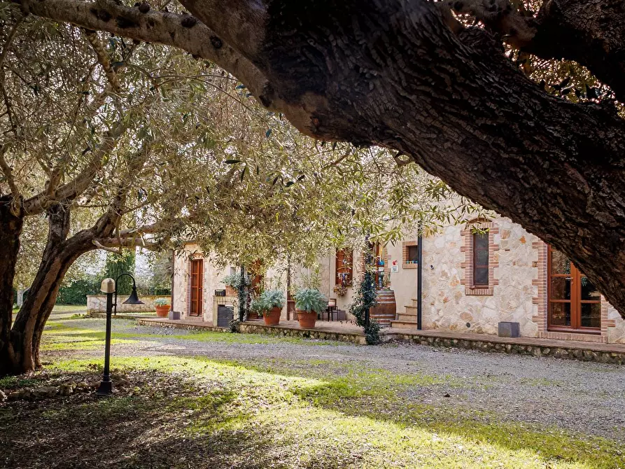Immagine 5 di Villa in vendita  in Località il Sorbo a Tarquinia