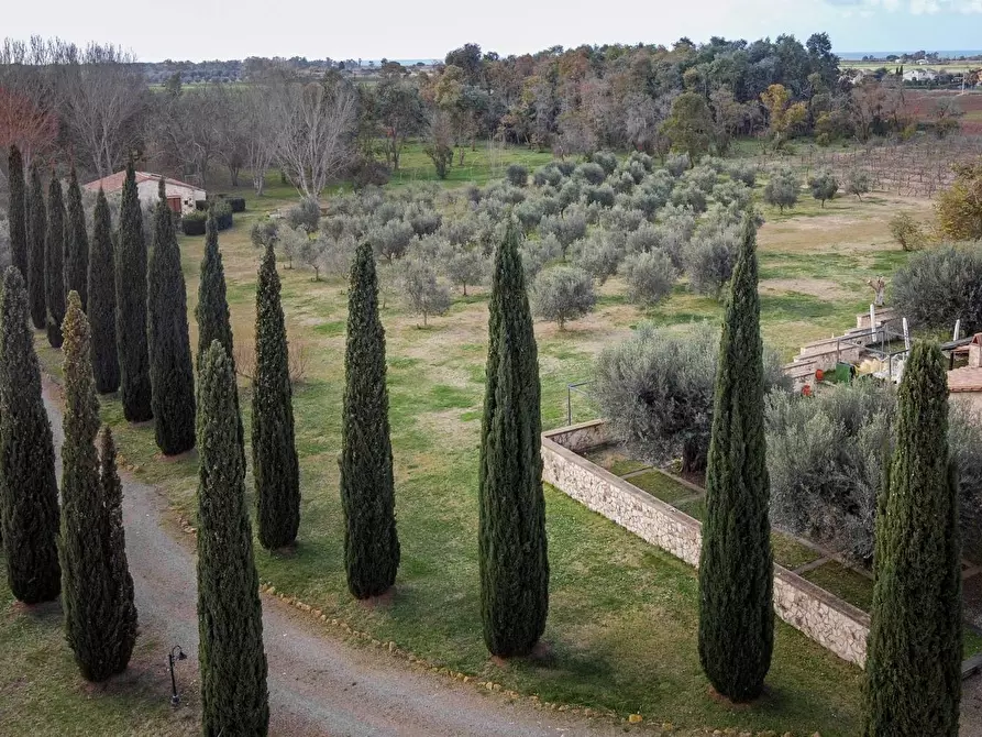 Immagine 32 di Villa in vendita  in Località il Sorbo a Tarquinia