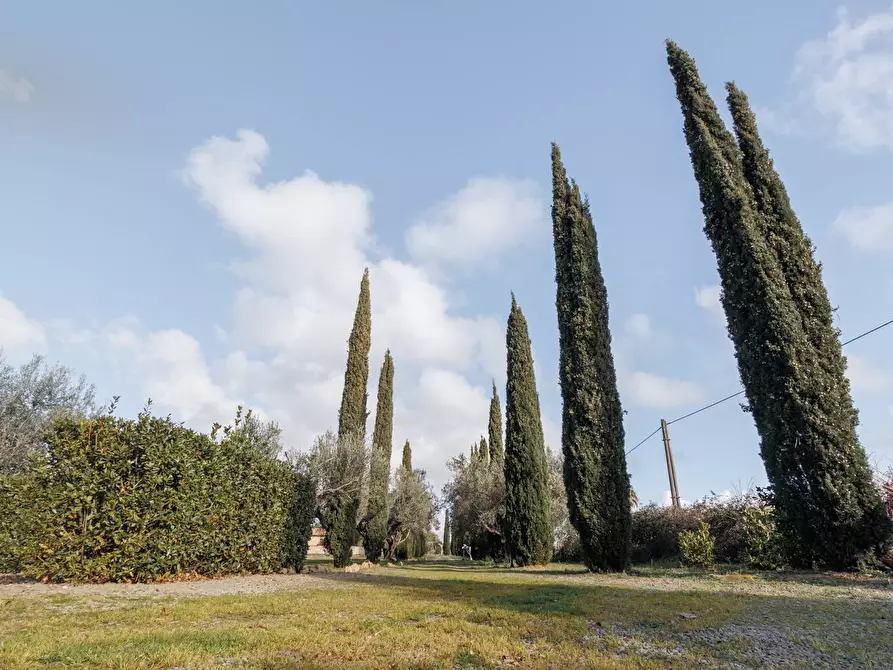 Immagine 35 di Villa in vendita  in Località il Sorbo a Tarquinia
