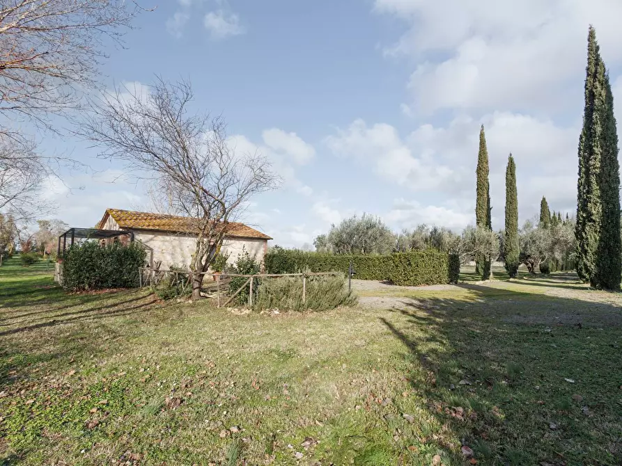 Immagine 36 di Villa in vendita  in Località il Sorbo a Tarquinia