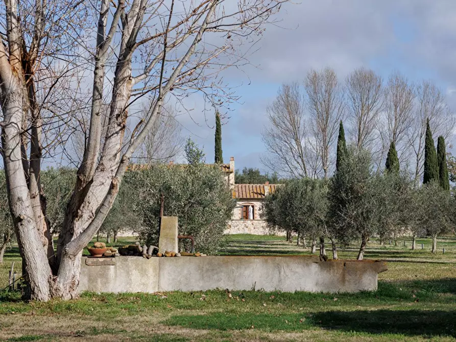 Immagine 75 di Villa in vendita  in Località il Sorbo a Tarquinia