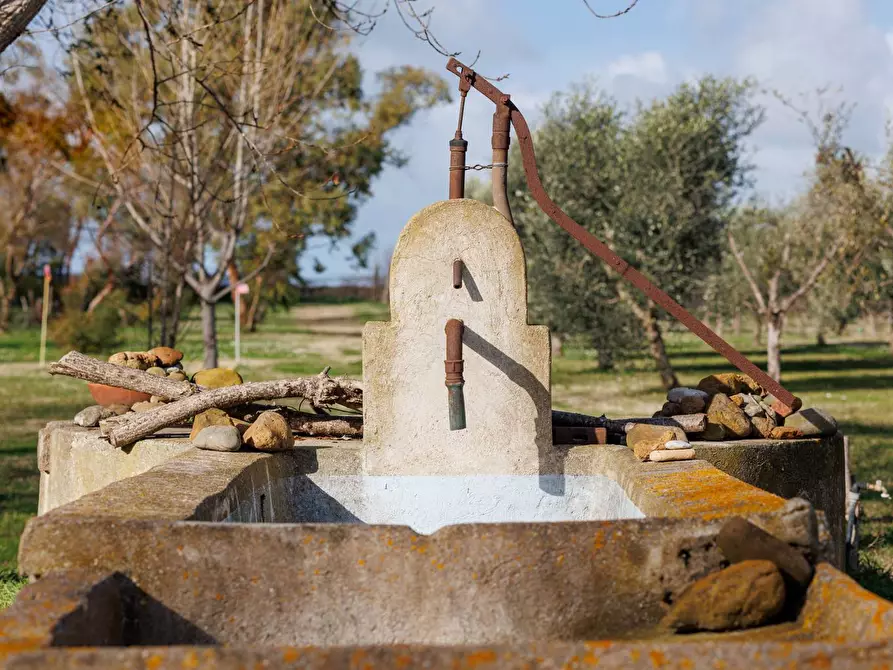 Immagine 74 di Villa in vendita  in Località il Sorbo a Tarquinia