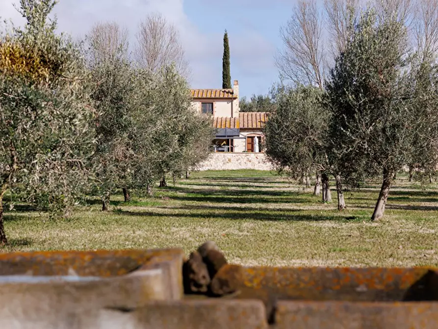 Immagine 76 di Villa in vendita  in Località il Sorbo a Tarquinia