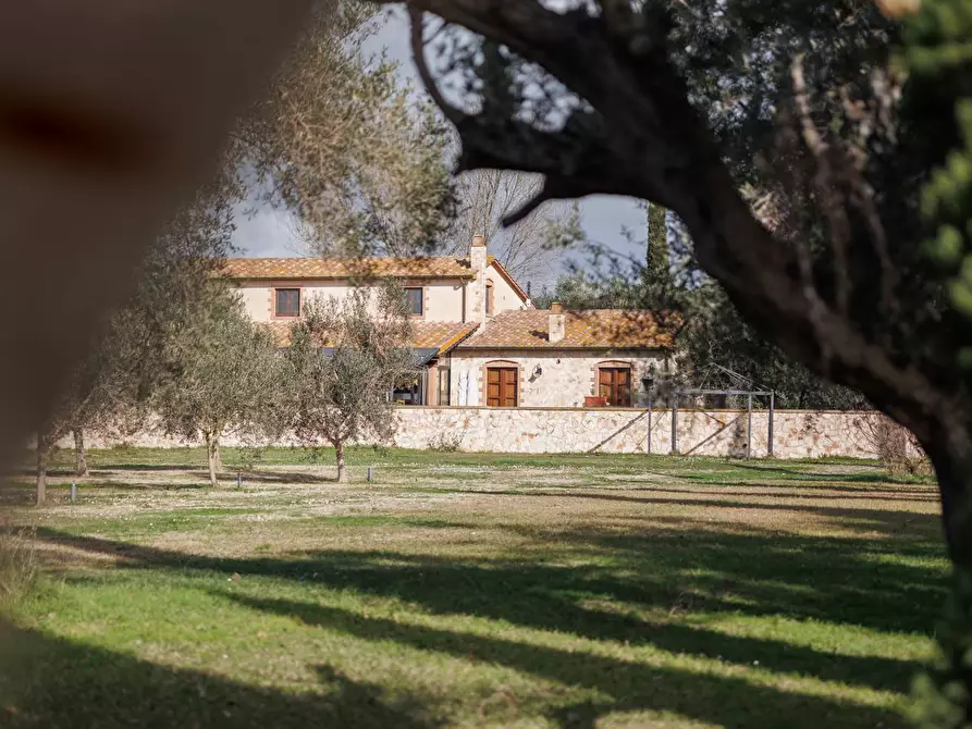 Immagine 77 di Villa in vendita  in Località il Sorbo a Tarquinia