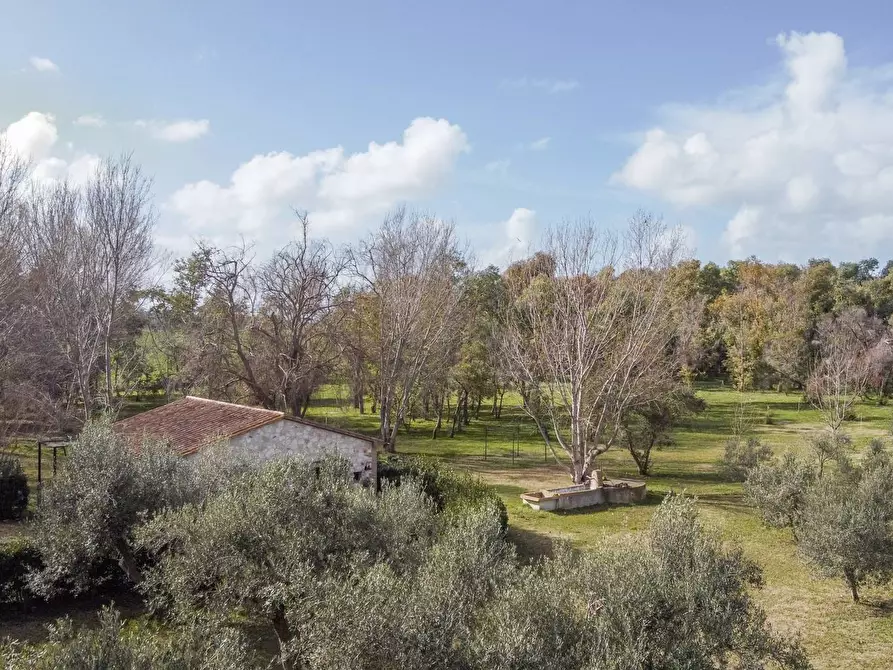 Immagine 37 di Villa in vendita  in Località il Sorbo a Tarquinia