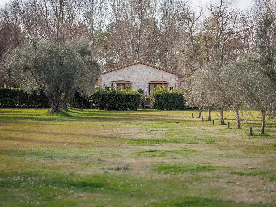 Immagine 38 di Villa in vendita  in Località il Sorbo a Tarquinia