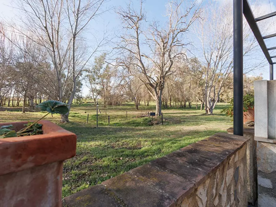Immagine 53 di Villa in vendita  in Località il Sorbo a Tarquinia