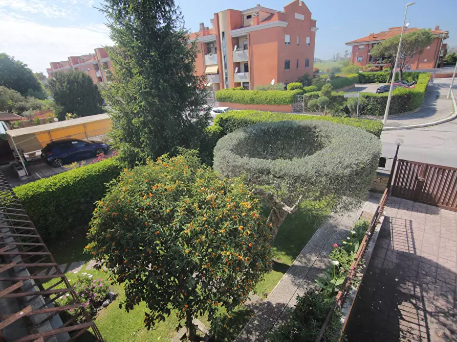 Immagine 3 di Villa in vendita  in Via Giulio Belvederi 44 a Roma