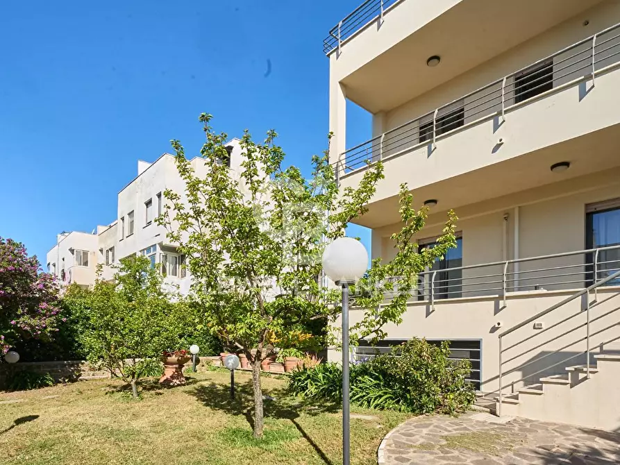 Immagine 5 di Appartamento in affitto  in via delle Magnolie 1 a Santa Marinella