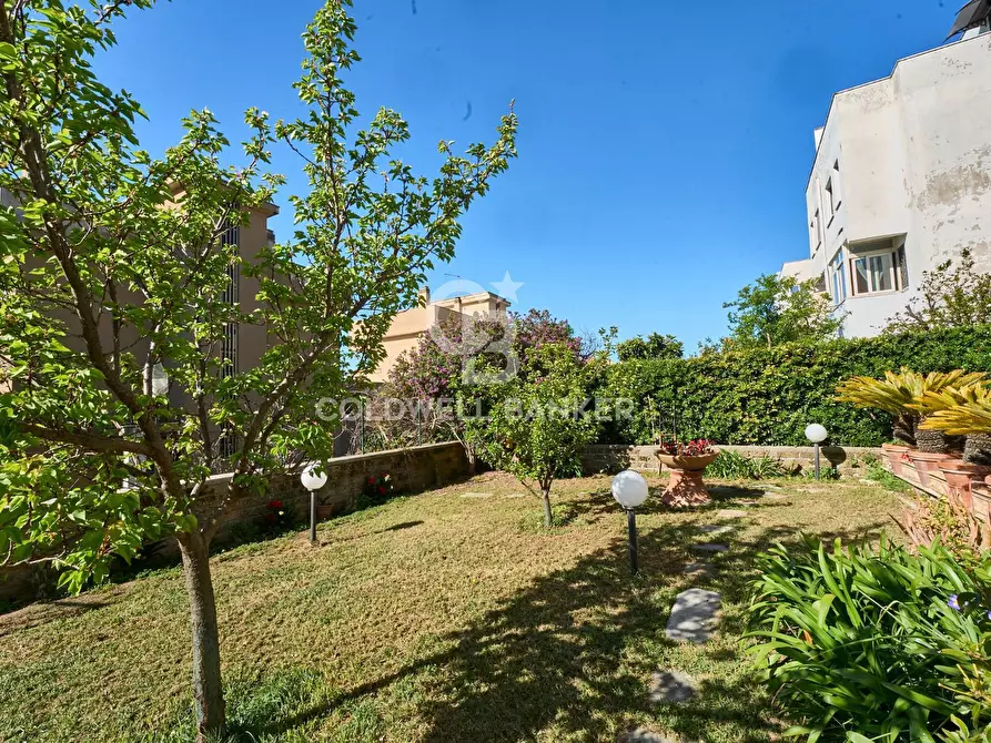Immagine 6 di Appartamento in affitto  in via delle Magnolie 1 a Santa Marinella