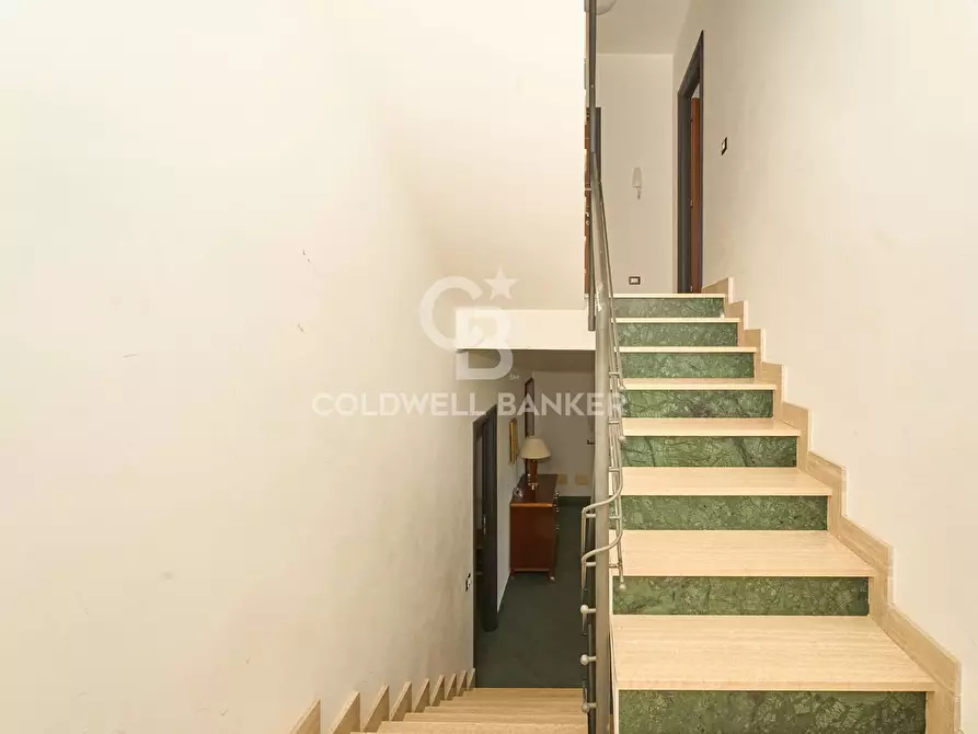 Immagine 14 di Appartamento in affitto  in via delle Magnolie 1 a Santa Marinella