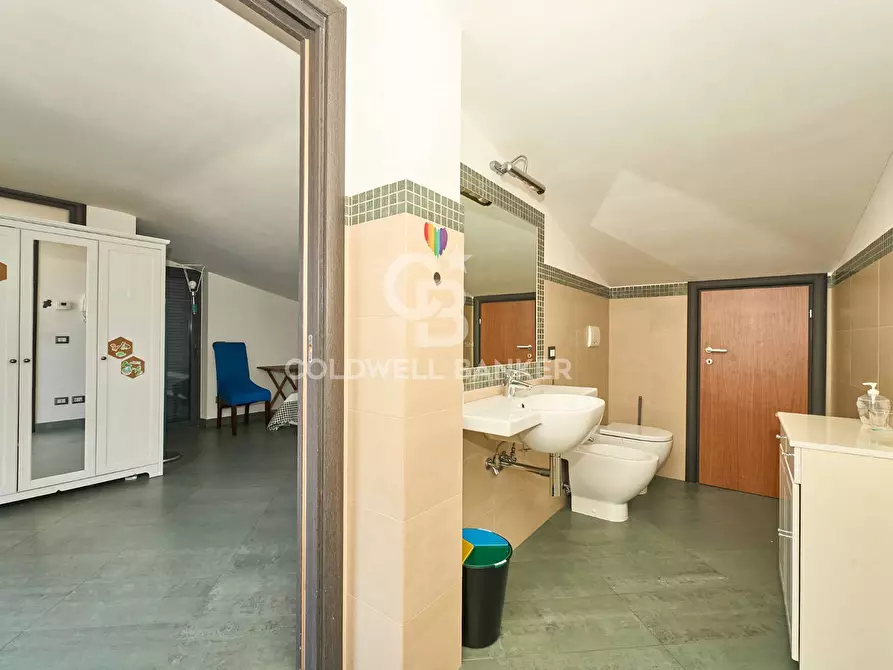 Immagine 24 di Appartamento in affitto  in via delle Magnolie 1 a Santa Marinella