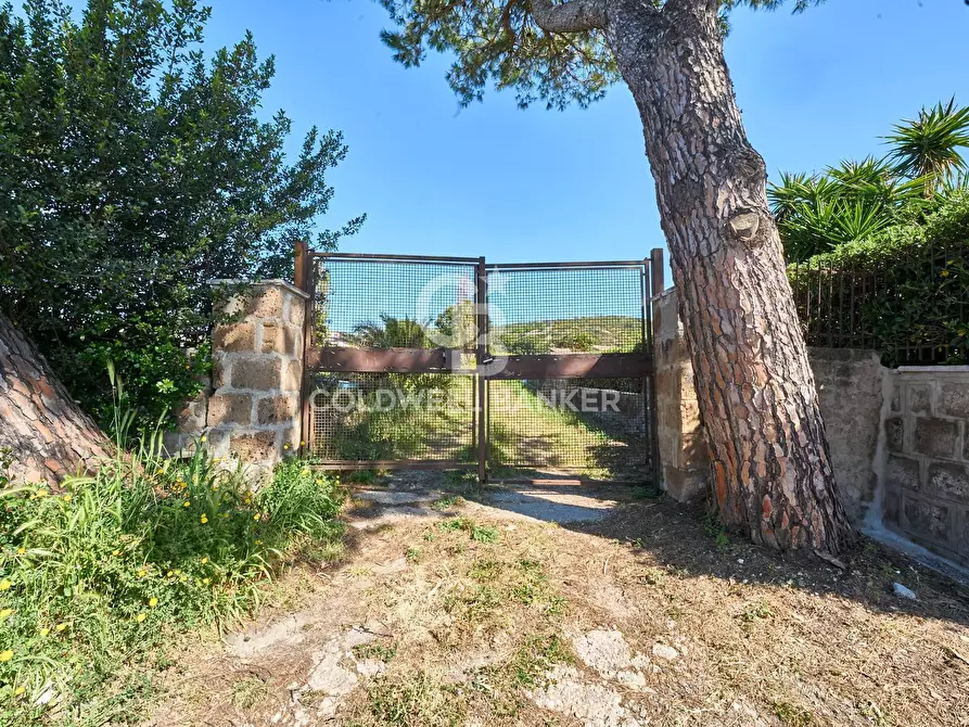 Immagine 2 di Terreno agricolo in vendita  in Via Aurelia Vecchia snc a Santa Marinella