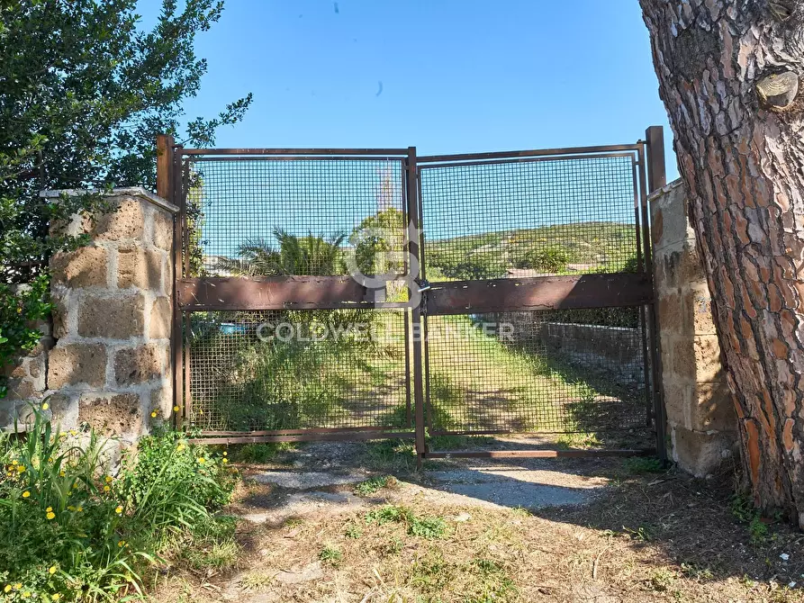 Immagine 3 di Terreno agricolo in vendita  in Via Aurelia Vecchia snc a Santa Marinella