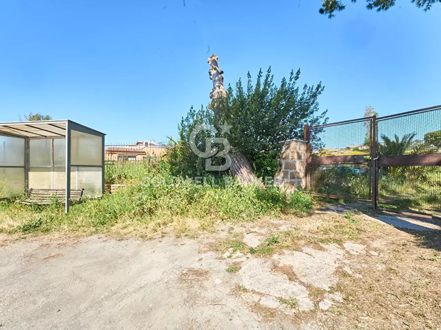 Immagine 4 di Terreno agricolo in vendita  in Via Aurelia Vecchia snc a Santa Marinella