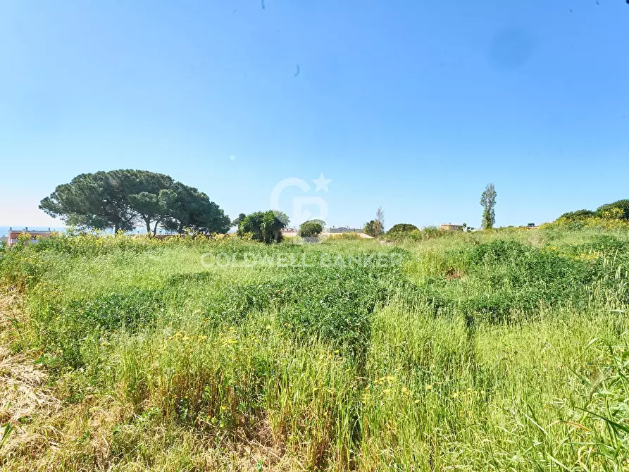 Immagine 5 di Terreno agricolo in vendita  in Via Aurelia Vecchia snc a Santa Marinella