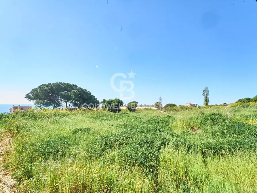 Immagine 6 di Terreno agricolo in vendita  in Via Aurelia Vecchia snc a Santa Marinella