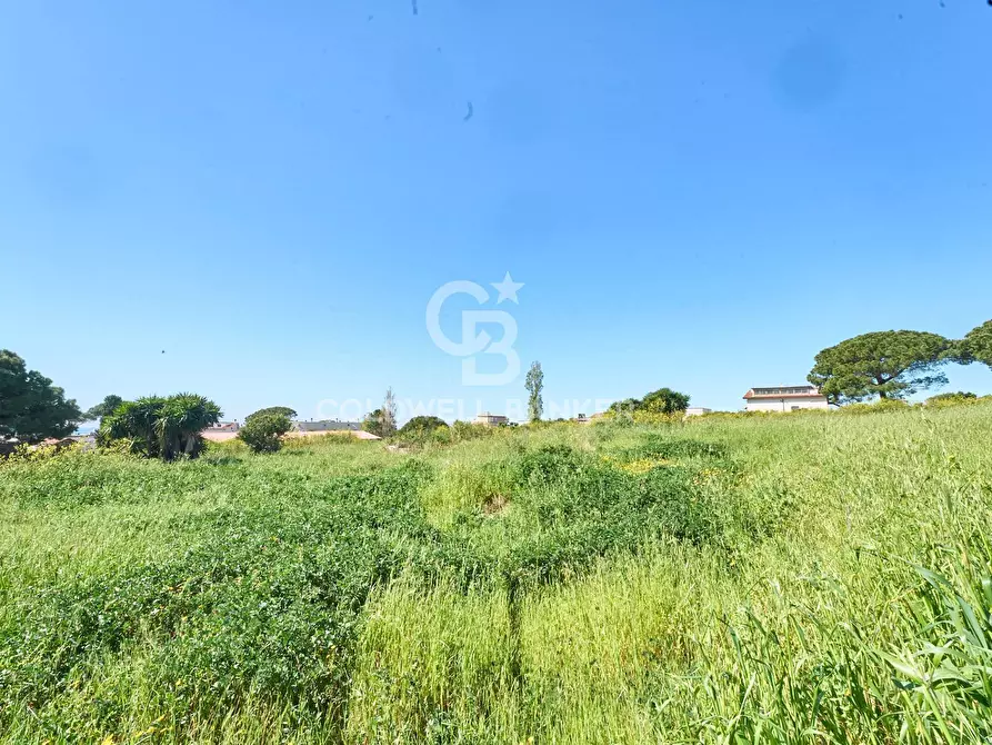 Immagine 7 di Terreno agricolo in vendita  in Via Aurelia Vecchia snc a Santa Marinella