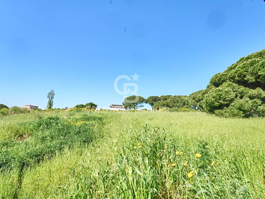 Immagine 8 di Terreno agricolo in vendita  in Via Aurelia Vecchia snc a Santa Marinella