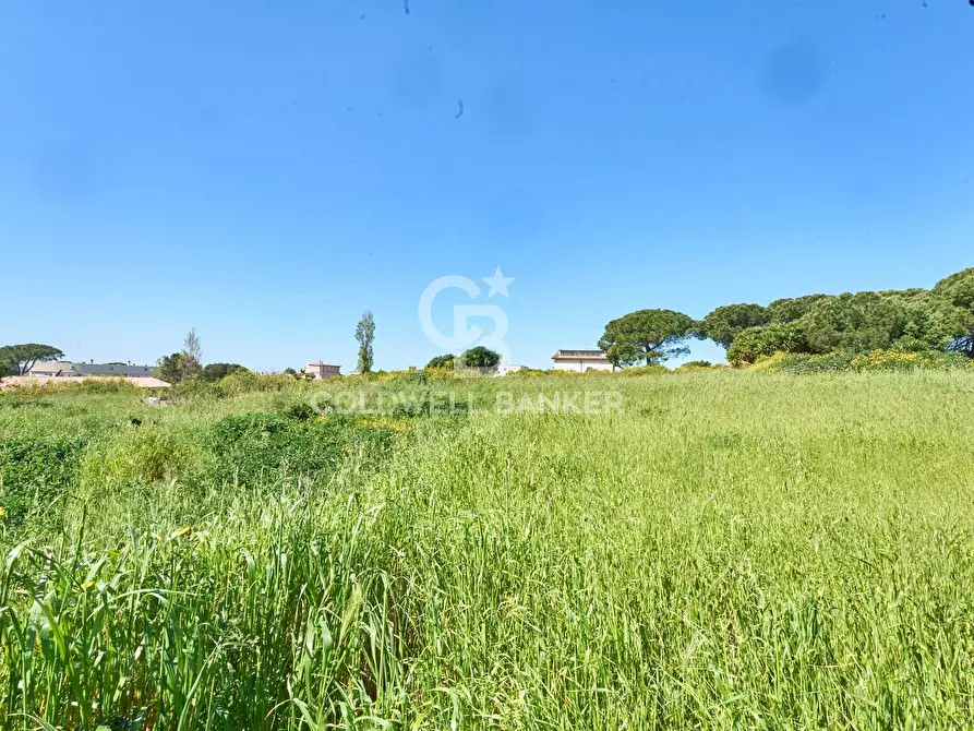 Immagine 10 di Terreno agricolo in vendita  in Via Aurelia Vecchia snc a Santa Marinella