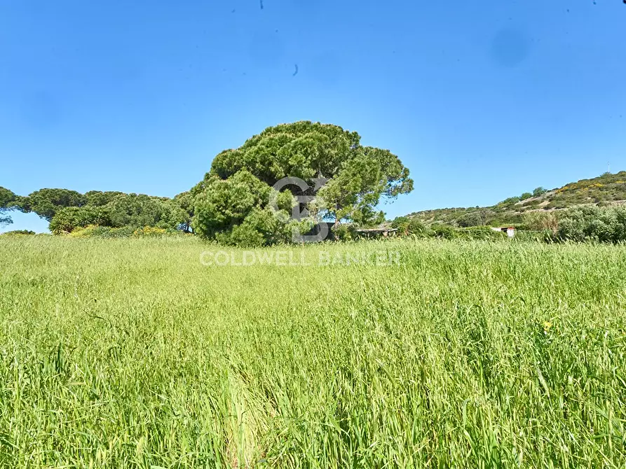 Immagine 11 di Terreno agricolo in vendita  in Via Aurelia Vecchia snc a Santa Marinella