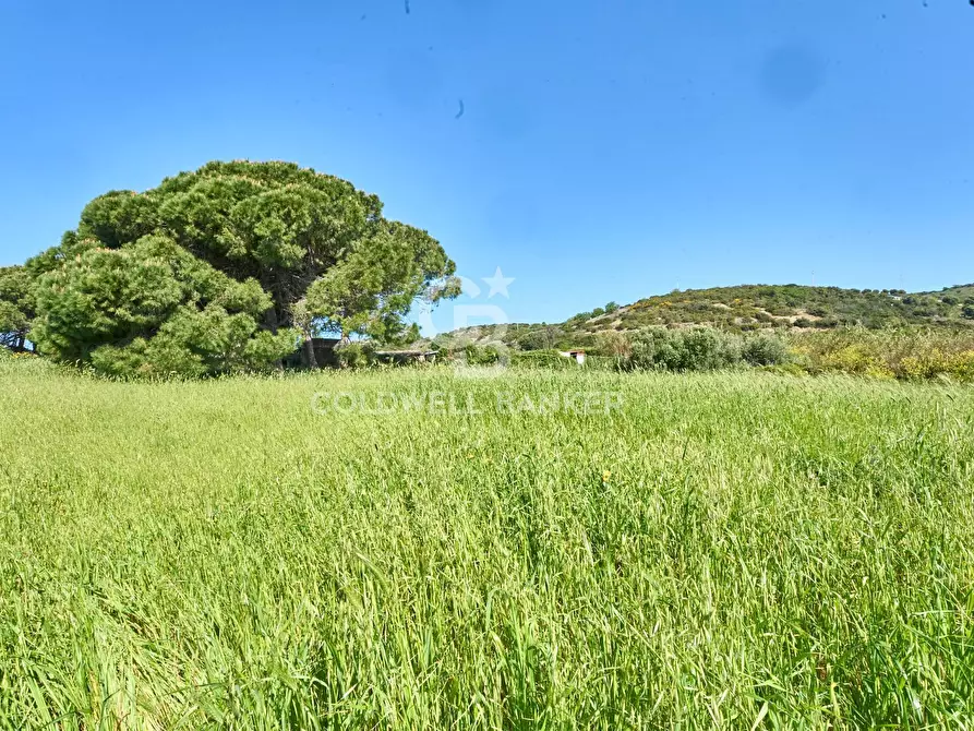 Immagine 12 di Terreno agricolo in vendita  in Via Aurelia Vecchia snc a Santa Marinella
