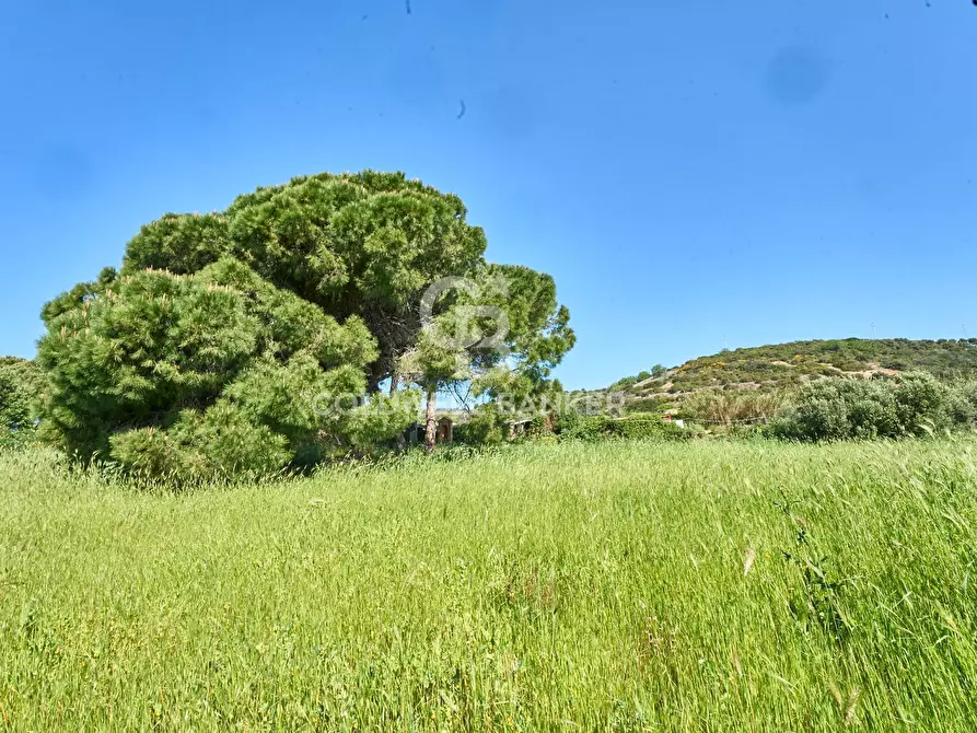 Immagine 13 di Terreno agricolo in vendita  in Via Aurelia Vecchia snc a Santa Marinella