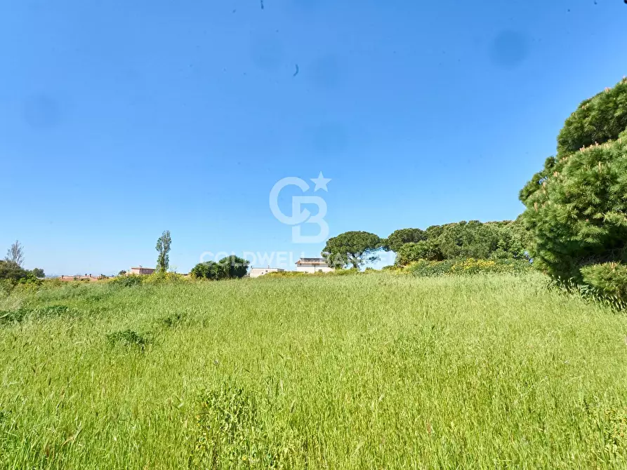 Immagine 14 di Terreno agricolo in vendita  in Via Aurelia Vecchia snc a Santa Marinella