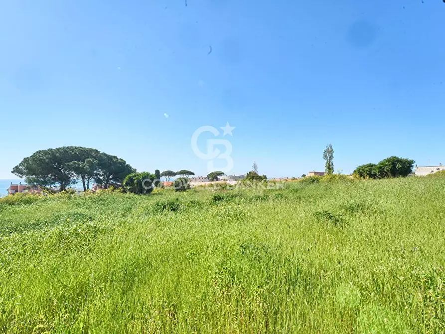 Immagine 15 di Terreno agricolo in vendita  in Via Aurelia Vecchia snc a Santa Marinella