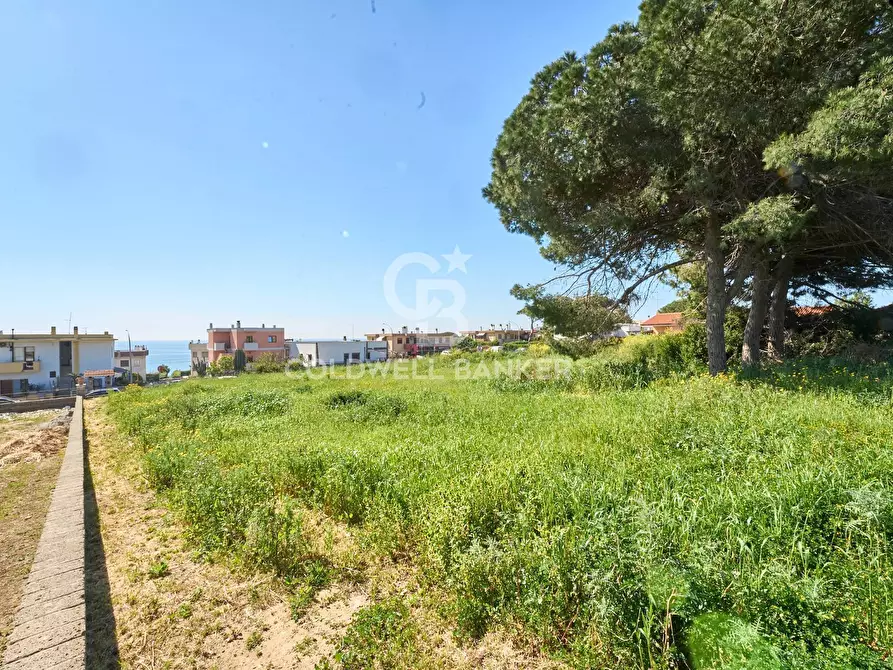 Immagine 19 di Terreno agricolo in vendita  in Via Aurelia Vecchia snc a Santa Marinella
