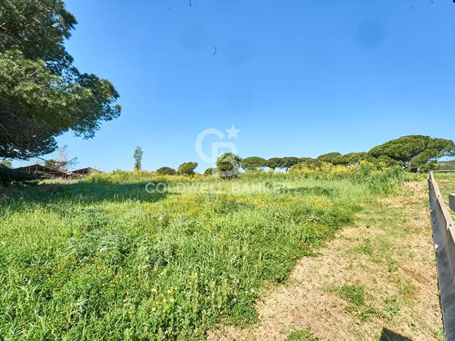 Immagine 20 di Terreno agricolo in vendita  in Via Aurelia Vecchia snc a Santa Marinella