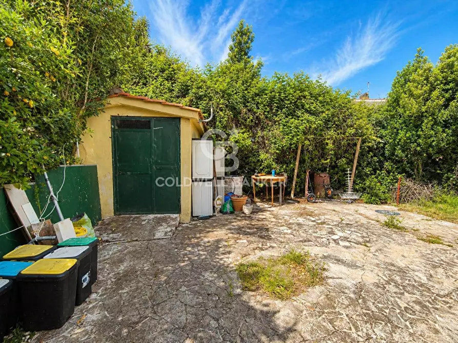 Immagine 5 di Villa in vendita  in Viale dei Navigatori 21 a Tarquinia