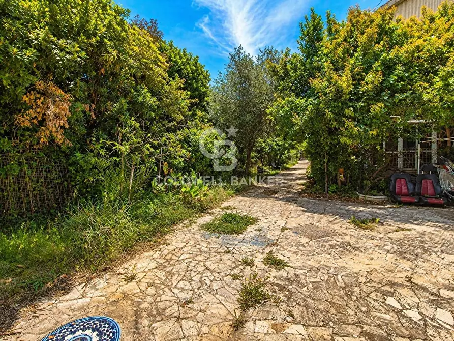 Immagine 6 di Villa in vendita  in Viale dei Navigatori 21 a Tarquinia