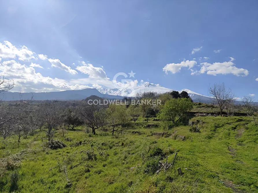 Immagine 12 di Terreno agricolo in vendita  in Via delle Querce a Giarre
