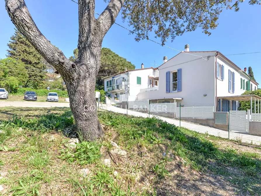 Immagine 23 di Villa in vendita  in Via delle Ginestre a Marciana
