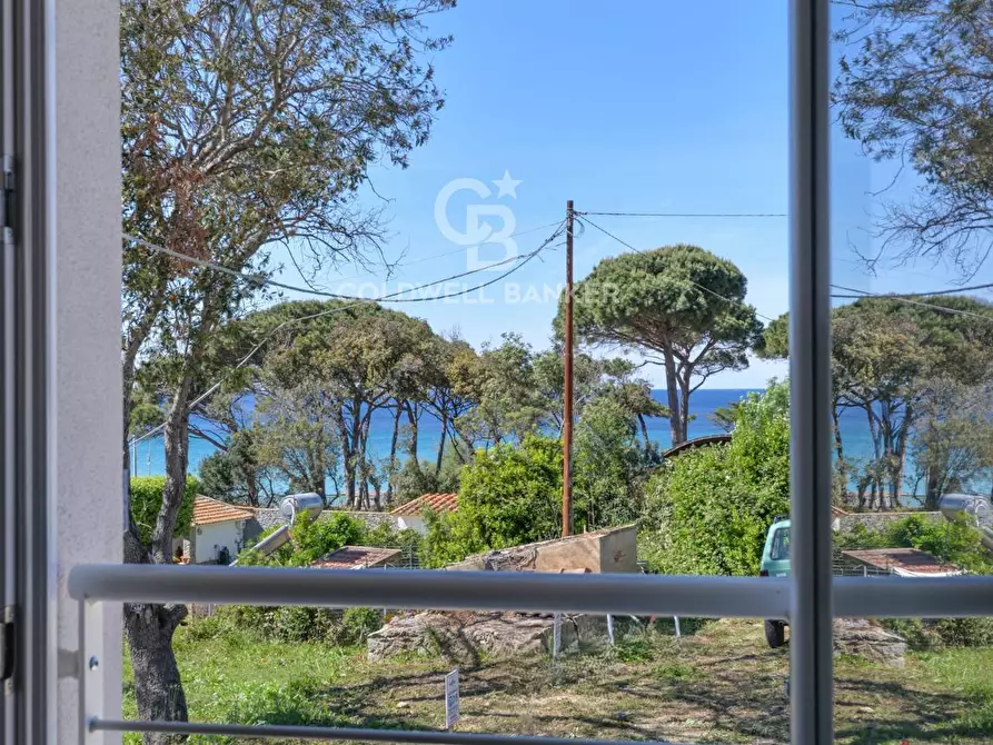 Immagine 8 di Appartamento in vendita  in Via delle Ginestre a Marciana