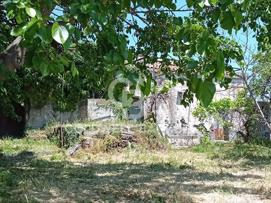 Immagine 5 di Terreno agricolo in vendita  in Via Reina 6 a Acireale