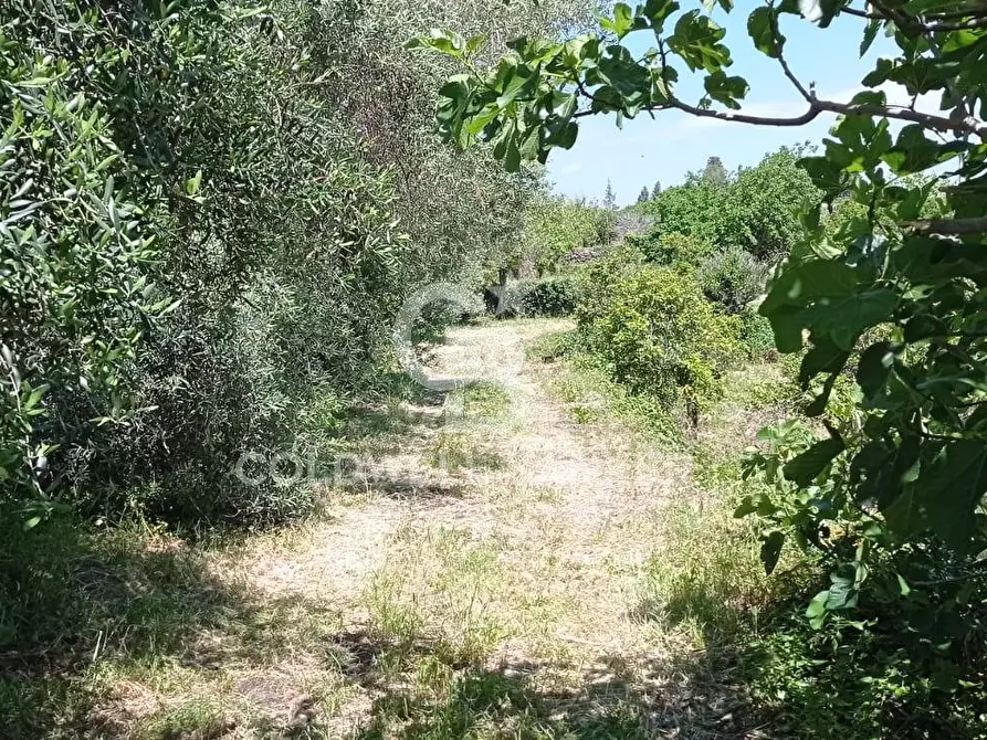 Immagine 7 di Terreno agricolo in vendita  in Via Reina 6 a Acireale