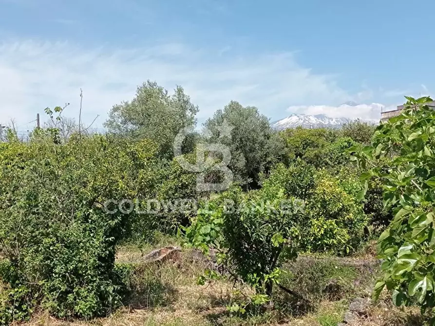 Immagine 8 di Terreno agricolo in vendita  in Via Reina 6 a Acireale