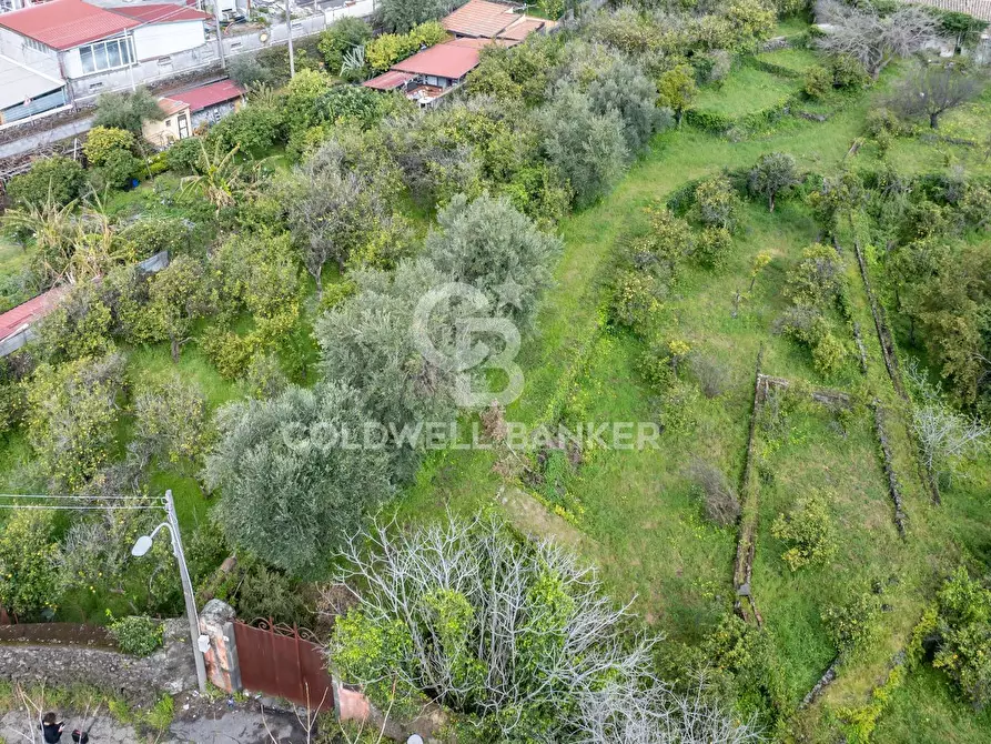 Immagine 11 di Terreno agricolo in vendita  in Via Reina 6 a Acireale