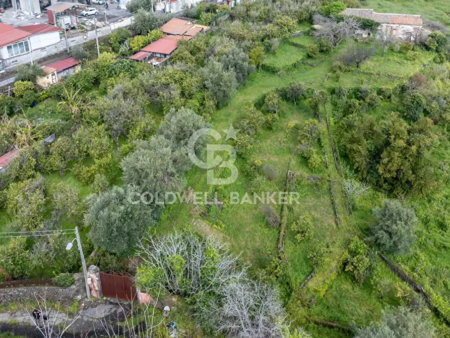 Immagine 12 di Terreno agricolo in vendita  in Via Reina 6 a Acireale