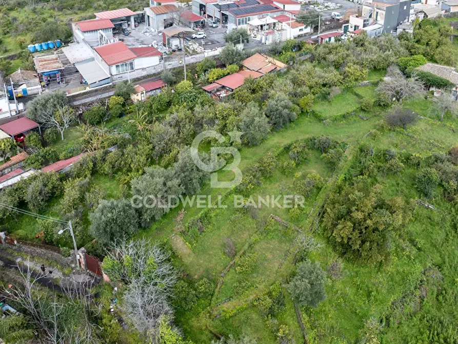 Immagine 13 di Terreno agricolo in vendita  in Via Reina 6 a Acireale