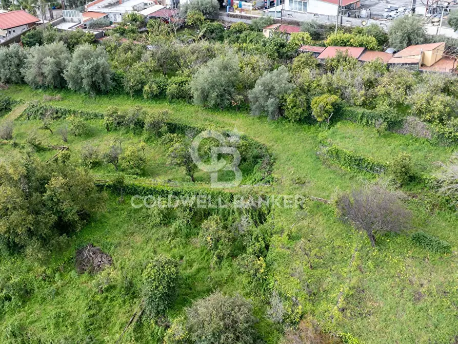 Immagine 14 di Terreno agricolo in vendita  in Via Reina 6 a Acireale