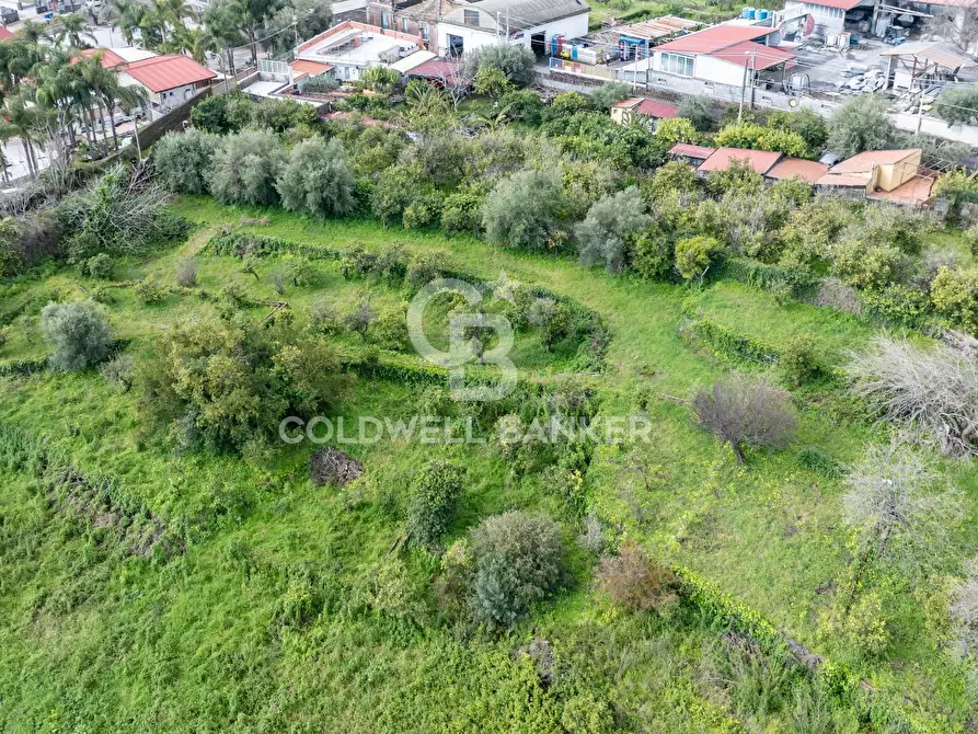 Immagine 3 di Terreno agricolo in vendita  in Via Reina 6 a Acireale