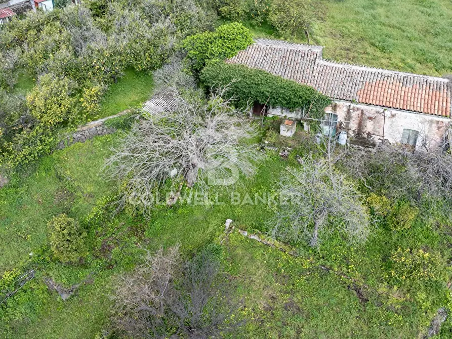 Immagine 1 di Terreno agricolo in vendita  in Via Reina 6 a Acireale