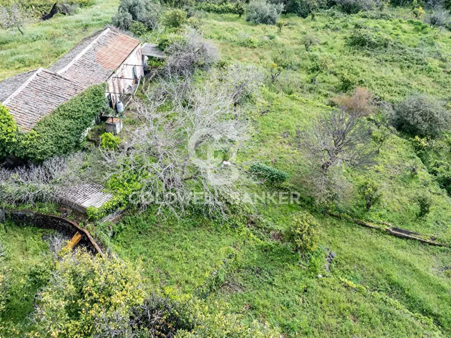 Immagine 4 di Terreno agricolo in vendita  in Via Reina 6 a Acireale