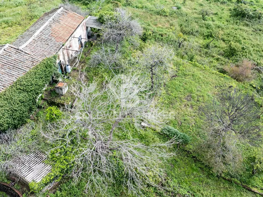 Immagine 15 di Terreno agricolo in vendita  in Via Reina 6 a Acireale