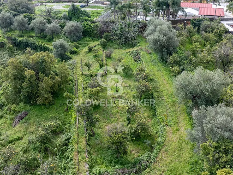 Immagine 16 di Terreno agricolo in vendita  in Via Reina 6 a Acireale